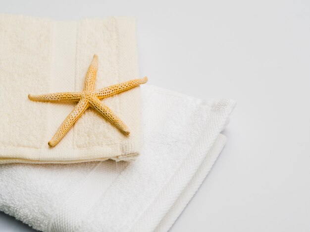 Sideways seastar on top of towel
