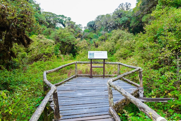 海口火山口公园
