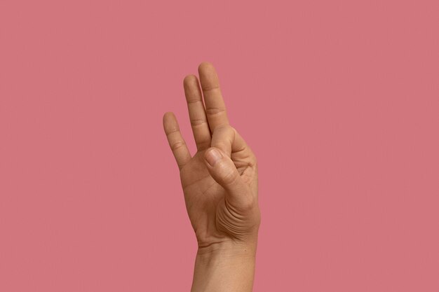 Sign language gesture isolated on pink