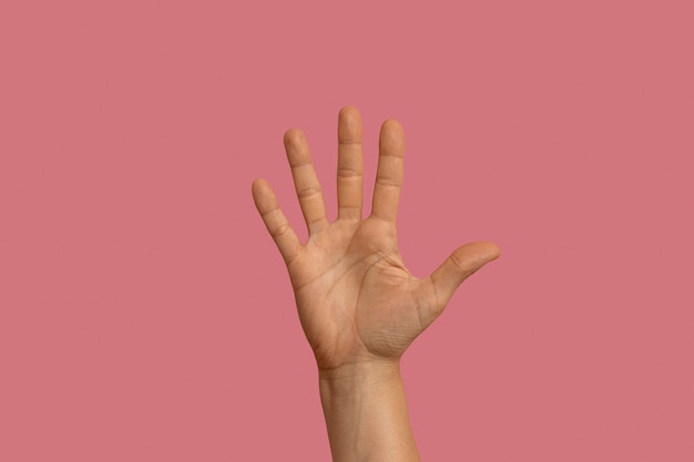 Free photo sign language gesture isolated on pink