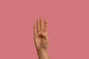 Free photo sign language gesture isolated on pink