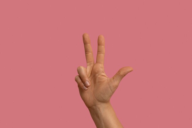 Sign language gesture isolated on pink