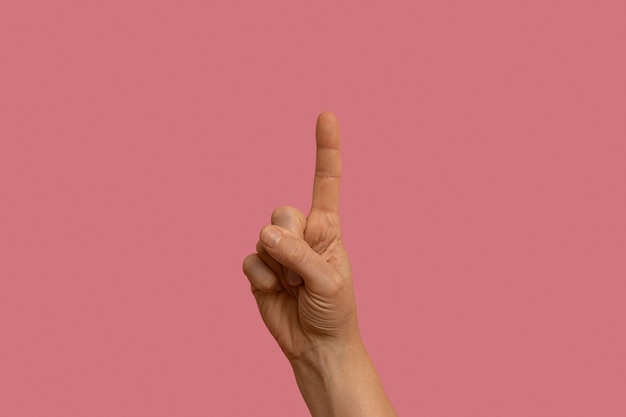 Sign language gesture isolated on pink