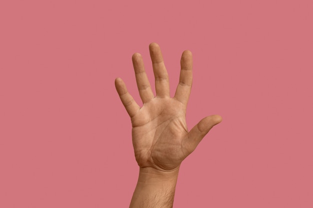 Sign language gesture isolated on pink