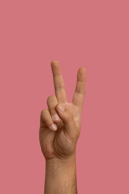 Sign language gesture isolated on pink