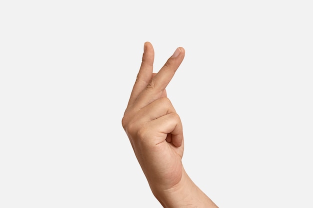Sign language gesture isolated on white
