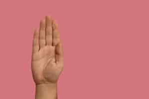 Бесплатное фото Жест рукой на языке жестов с копией пространства