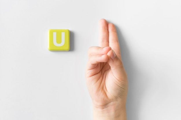 Sign language hand showing letter u