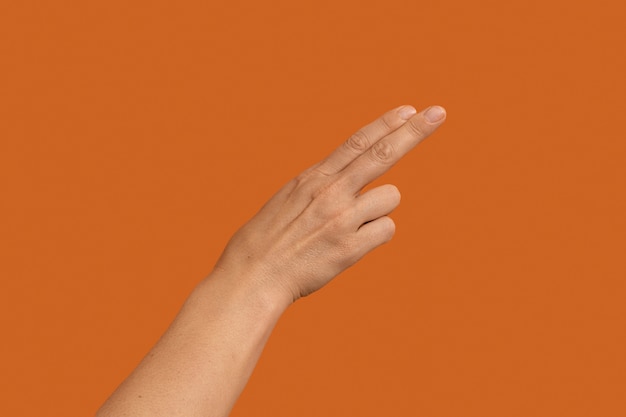 オレンジ色に分離された手話記号