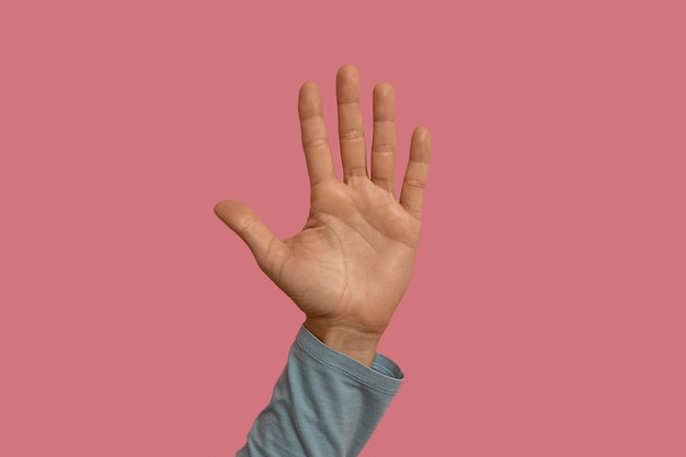 Sign language symbol isolated on pink