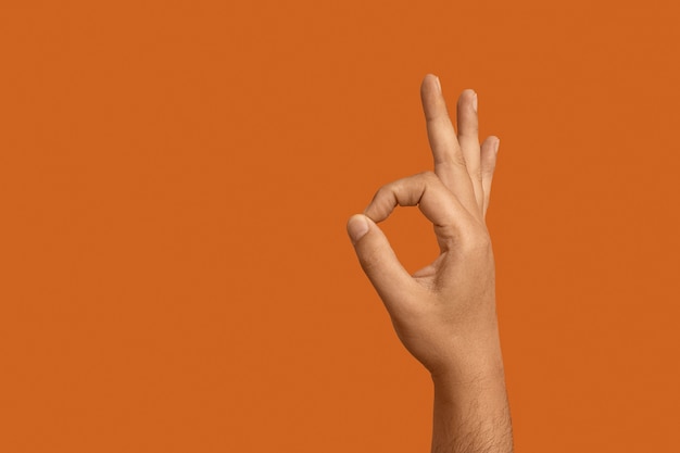 Бесплатное фото Язык жестов с копией пространства