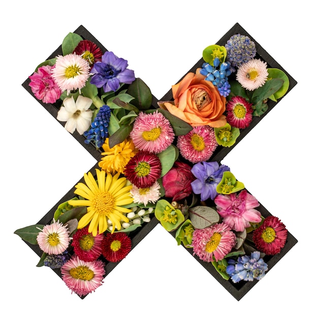 Free photo sign of multiplication made of real natural flowers and leaves isolated