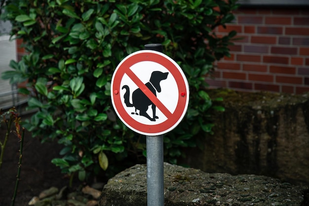 Free photo a sign no dog poop concept cleaning up dog droppings