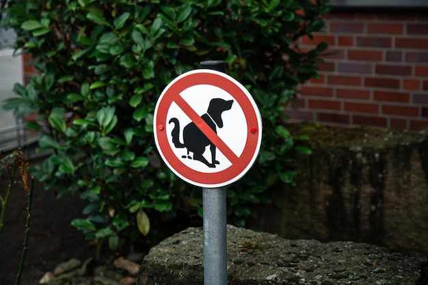 A sign no dog poop concept cleaning up dog droppings