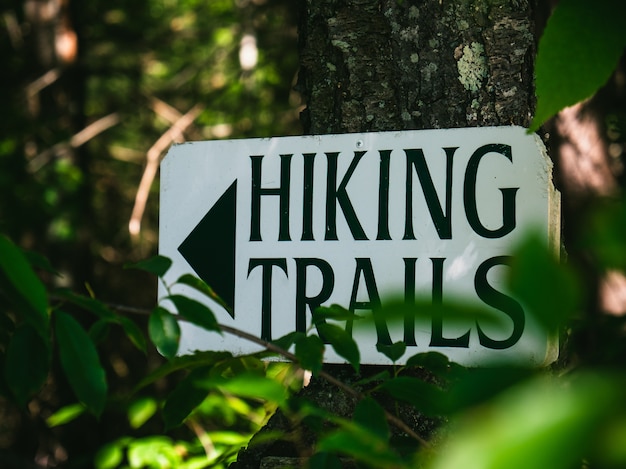 Free photo sign on a tree trunk that points to the hiking trails