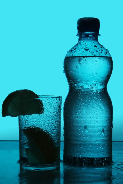 Silhouette of bottle and glass