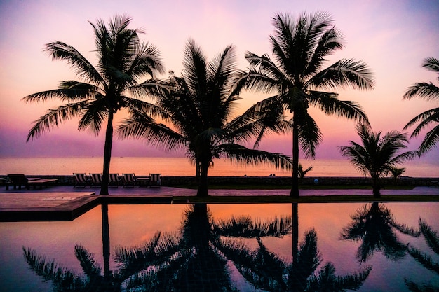 Бесплатное фото Силуэт кокосовой пальмы вокруг открытого бассейна