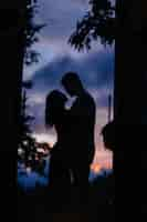 Free photo silhouette of couple on sunset background