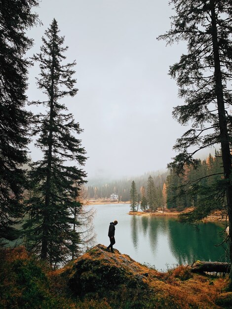 霧の天気の間に湖の近くの森の中を歩く男のシルエット