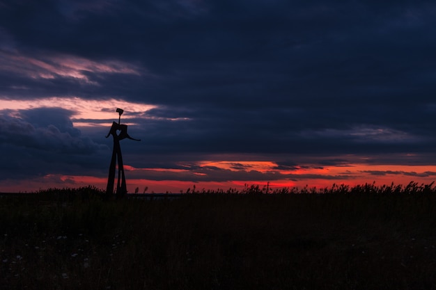 Силуэт металлической статуи в травянистом поле под захватывающим облачным небом во время заката