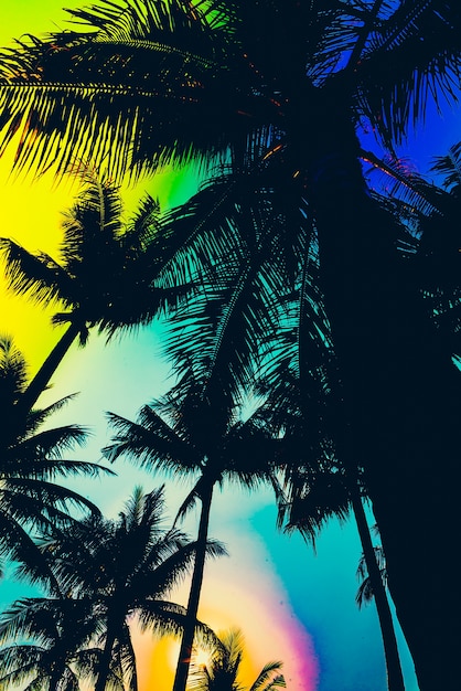 Silhouette of palm trees with colorful sky