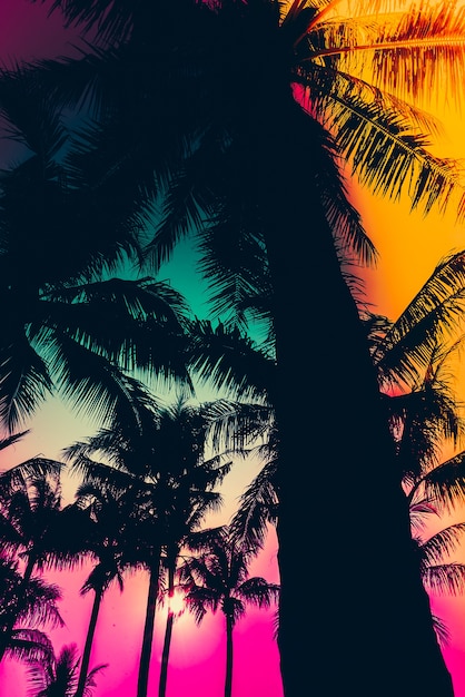 Silhouette of palm trees with colorful sky