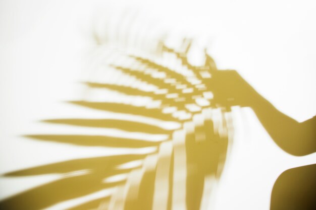 Silhouette of a person holding blurred palm leaf on white backdrop