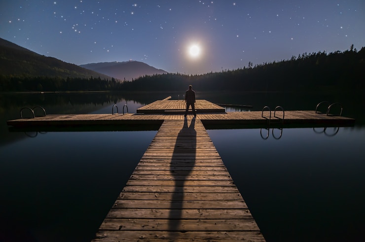 Free Photo silhouette of person standing on bridge