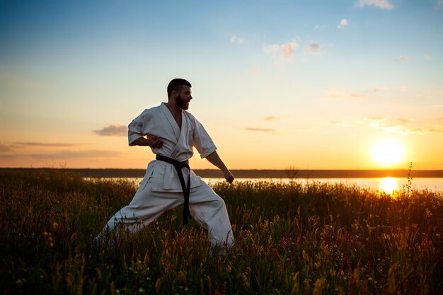 Silhouette of sportive man training karate in field at sunrise.