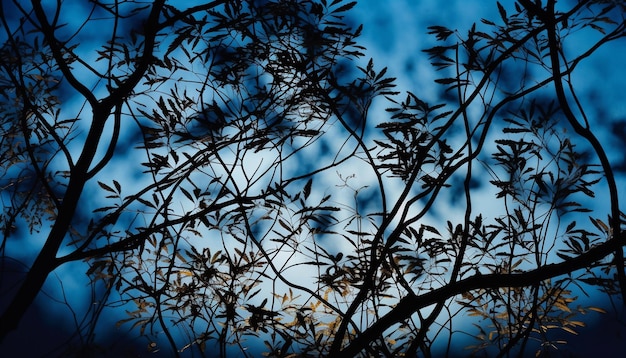 Free photo silhouette of tree branch against back lit sunset generated by ai