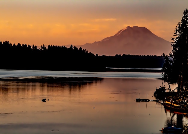 Silhouette of trees in the distance near the water with a mountain