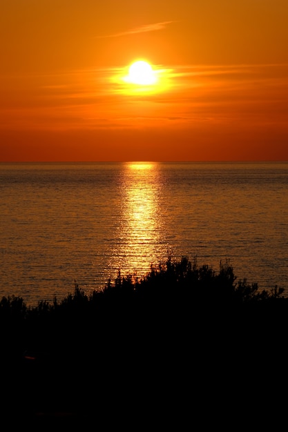 Silhouette of trees with sea reflecting the sun and an orange sky 