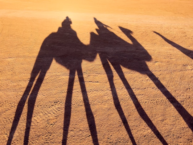 Silhouette of two people on camels in the desert