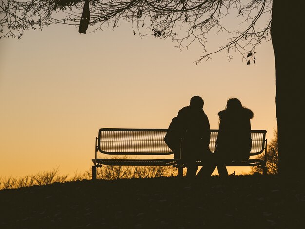 Silhouette of two people sitting on a bench under a tree during a sunset