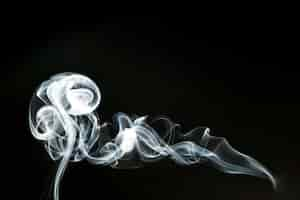 Free photo silhouette of white wavy smoke