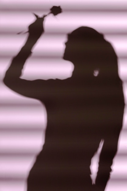 Silhouette of woman at home with window shadows