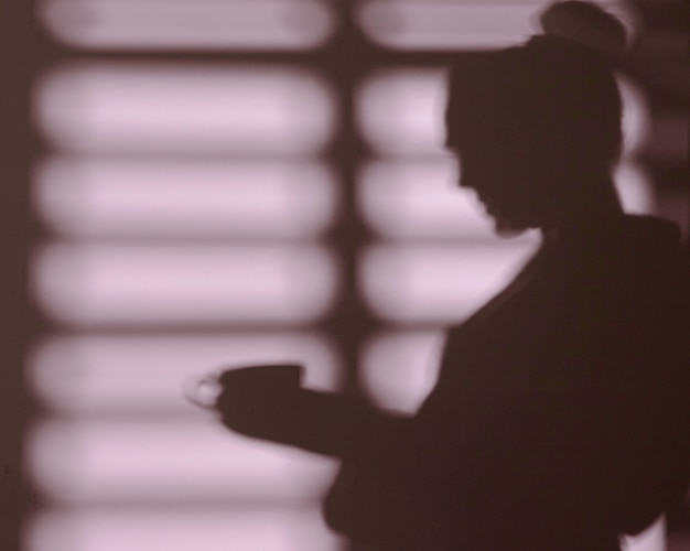 Free photo silhouette of woman at home with window shadows