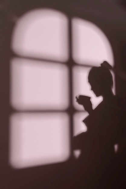 Silhouette of young woman at home with window shadows