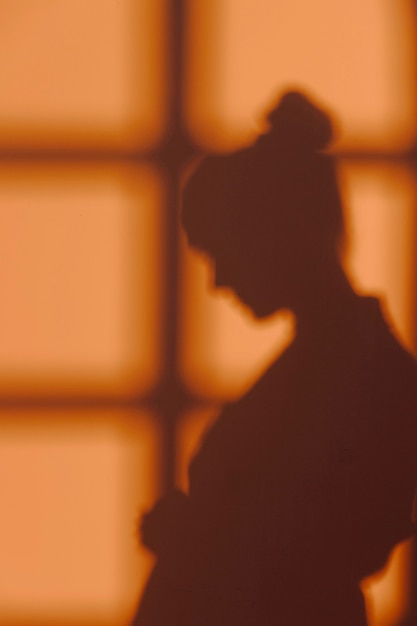 Silhouette of young woman at home with window shadows