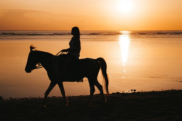 海の近くの黄金の色鮮やかな日没時にビーチで馬に乗って若い女性のシルエット