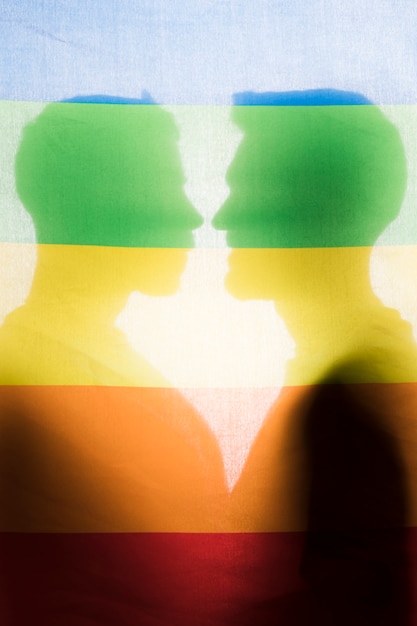 Silhouettes of gay couple behind rainbow flag