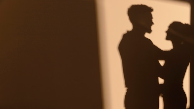 Silhouettes of man and woman having a date at home