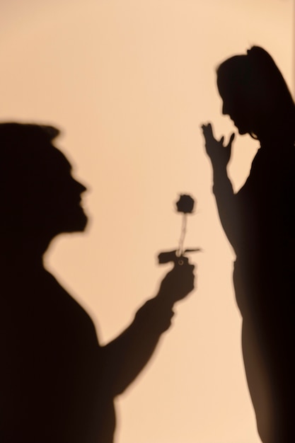 Silhouettes of man and woman having a date at home