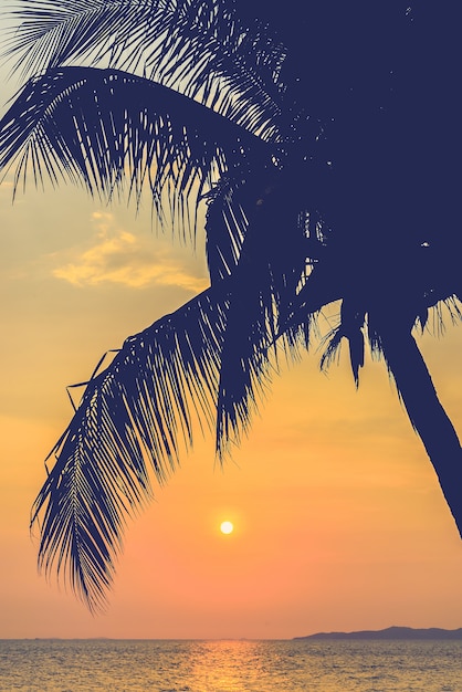 Silhouettes of palm trees with sun background
