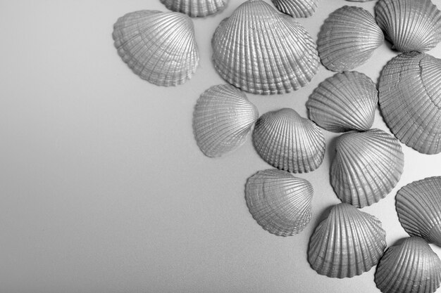 Silver aesthetic wallpaper with shells top view