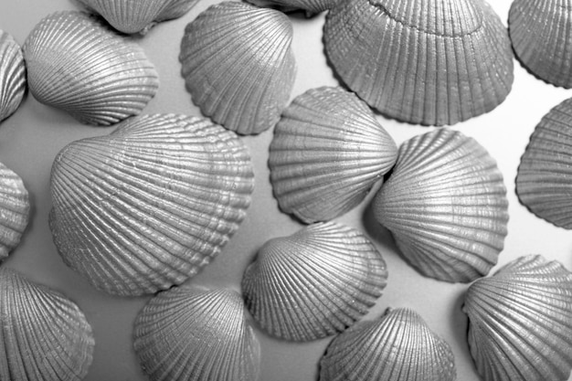 Silver aesthetic wallpaper with shells