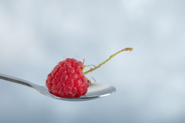 silver spoon of single raspberry on close up view