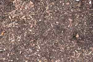 Free photo simple background of wood and stones