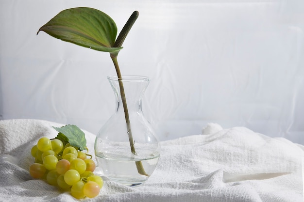 Simple and beautiful still life with spathiphyllum flower and transparent stones