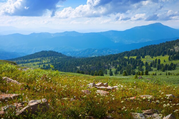 Simple  mountains landscape